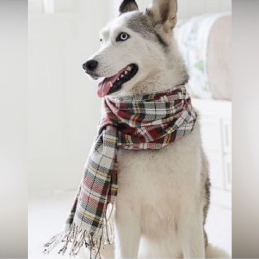 Pottery Barn Denver Plaid Scarf with Fringe